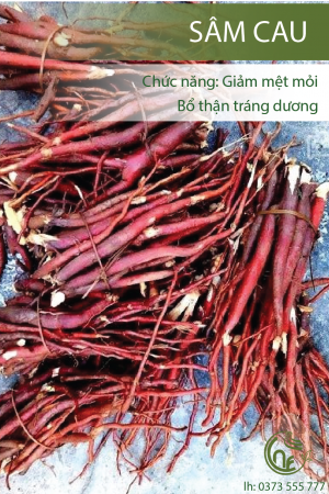 Sâm Cau Cao Nguyên Food