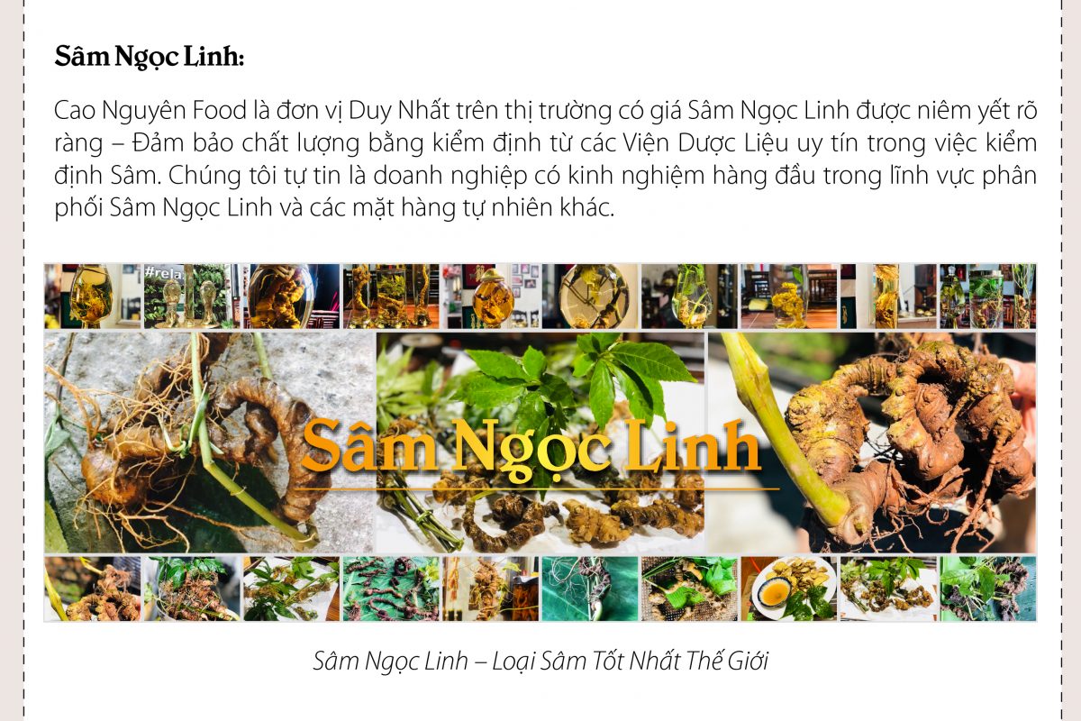 Sâm Ngọc Linh Cao Nguyên Food